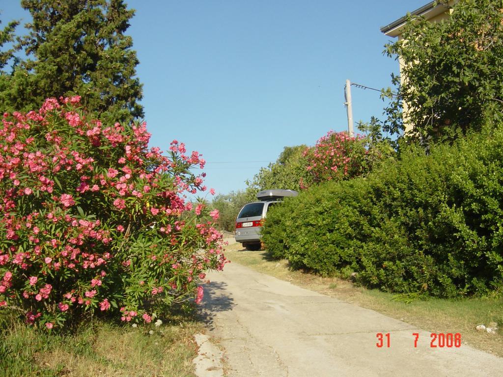 Apartments Prahovic Ždrelac Exterior foto